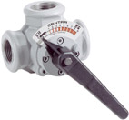 Pressure monitor for hot water, steam, gas, fuel (DWR)