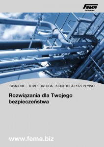 FEMA Dempan